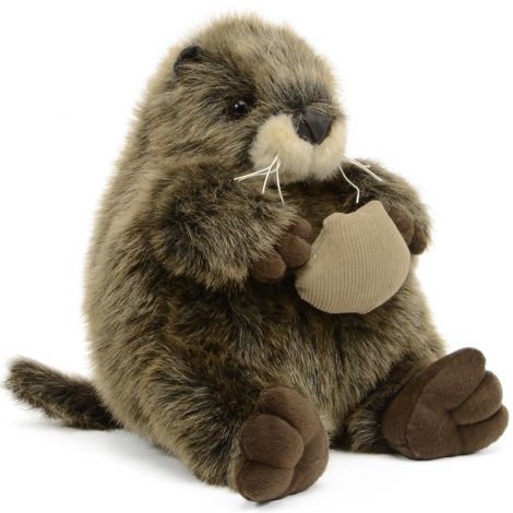Plumpee Otter   